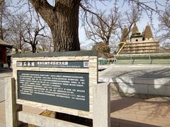 -北京石刻艺术博物馆(五塔寺)
