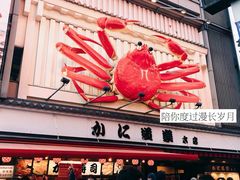 -蟹道乐(道顿堀本店)