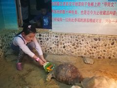 -上海大自然野生昆虫馆(东方明珠·爬宠昆虫探索中心)