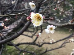 -浙江省博物馆(孤山馆区)