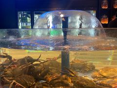 -海立阁海鲜江浙菜(漕河泾印象城店)