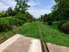 -武清南湖绿博园