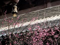 -慧因高丽寺