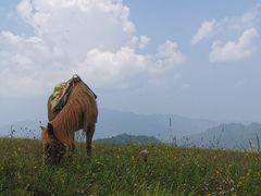 -北京灵山风景区