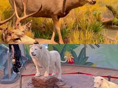 -陕西自然博物馆