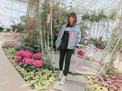 -石家庄市植物园