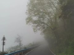 -三门江国家森林公园