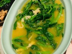 豌豆黄浸豌豆尖-半山腰·云南菜(侨福芳草地店)