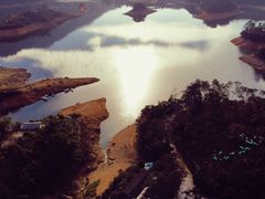 -广州市流溪河国家森林公园
