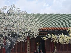 -珠海圆明新园