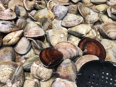-川骄海鲜自助(亚运村店)