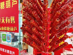 -和禄德冰糖葫芦