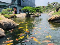 -罗红摄影艺术馆