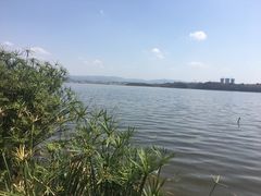 -星巴克(成都科学城店)