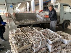 -中国舟山国际水产城