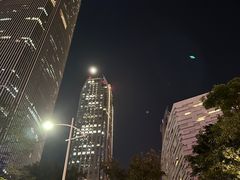 -利苑酒家(合景国际金融广场店)