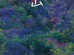 -北京西山国家森林公园