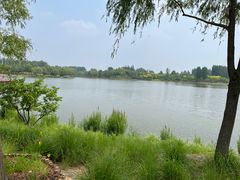 -东郊湿地公园