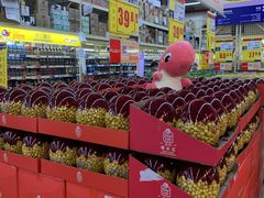 -麦德龙(十里河店)