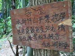 -众神白水涧景区