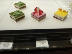 -BLACKSWAN黑天鹅(环球店)