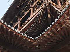 -杭州半山国家森林公园