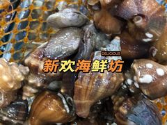 -新欢海鲜坊(赖屋店)