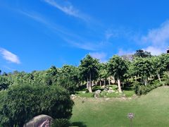 -三亚南山文化旅游区