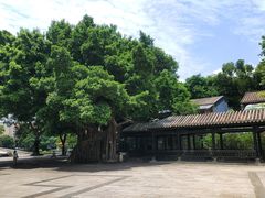 -荔湾湖公园