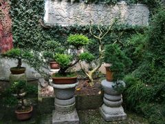 android_upload_pic-留荫庐旅馆