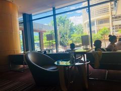 -芽庄喜来登水疗酒店