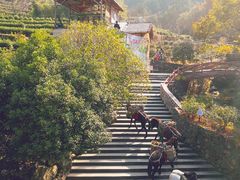 -藏龙百瀑风景区