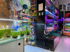 -双季花艺园艺市场(浦东店)