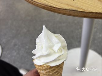 #0元玩转这座城感觉这家店的冰淇淋真的挺好吃的