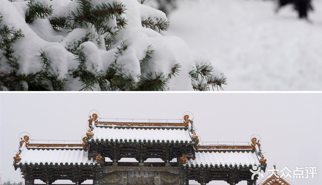 沈阳冬天的第一场雪｜大雪让沈城变成了盛京