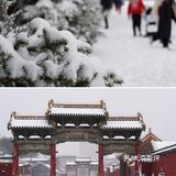沈阳冬天的第一场雪｜大雪让沈城变成了盛京