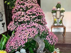 -杭州植物园
