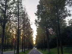 -南京市江宁方山