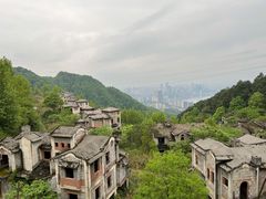 -南山植物园