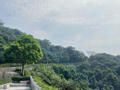 -火炉山森林公园