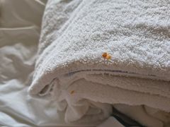 -秦皇岛阿尔卡迪亚滨海度假酒店