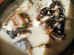 阳澄湖鱼头汤-芸海阁·农家私房菜(沙家浜景区出口店)