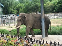 -西安秦岭野生动物园