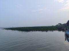 -渔娘蟹庄(阳澄湖莲花岛店)