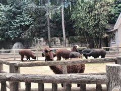 -昆明动物园