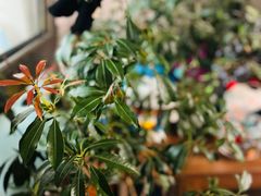 -天丰利生活MALL(和平里店)