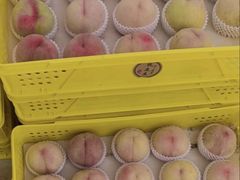 -老袁家蜜桃农场·阳山水蜜桃