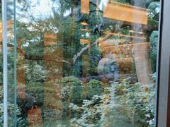 -浙江西子宾馆·瑶园咖啡厅