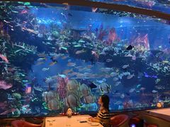 -迪拜帆船酒店海底餐厅