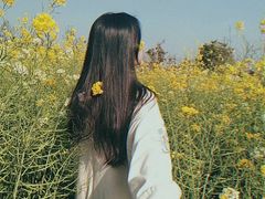 -瑶湖郊野森林公园